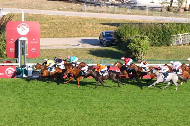 Photo d'arrivée de la course pmu QATAR PRIX HAXO à LONGCHAMP le Dimanche 15 septembre 2019