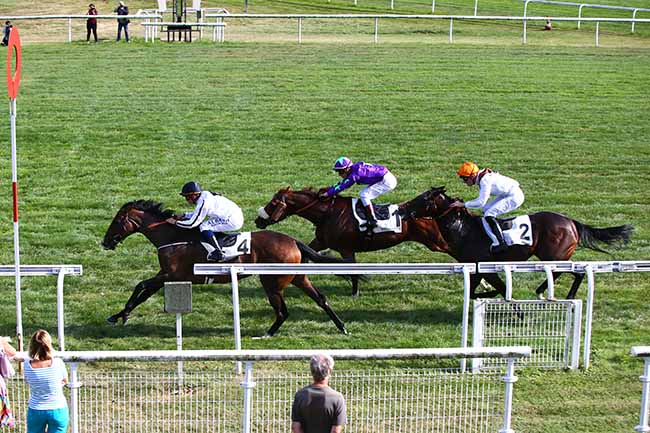 Photo d'arrivée de la course pmu LA COUPE DE MAISONS-LAFFITTE à MAISONS-LAFFITTE le Lundi 16 septembre 2019