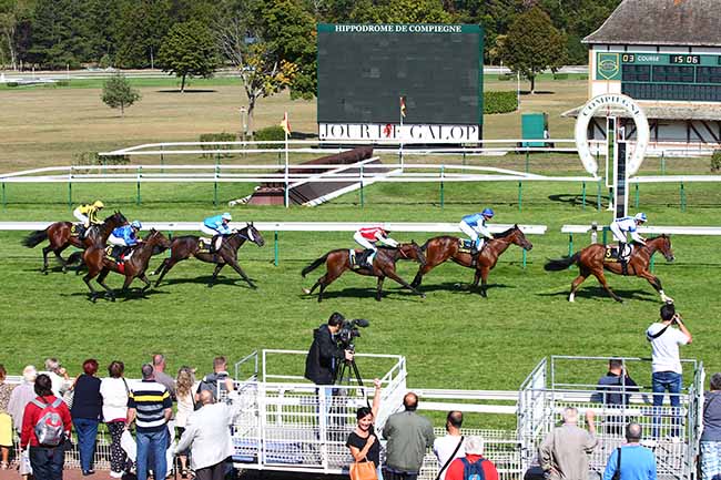 Photo d'arrivée de la course pmu PRIX DU PUITS D'ORLEANS à COMPIEGNE le Mardi 17 septembre 2019