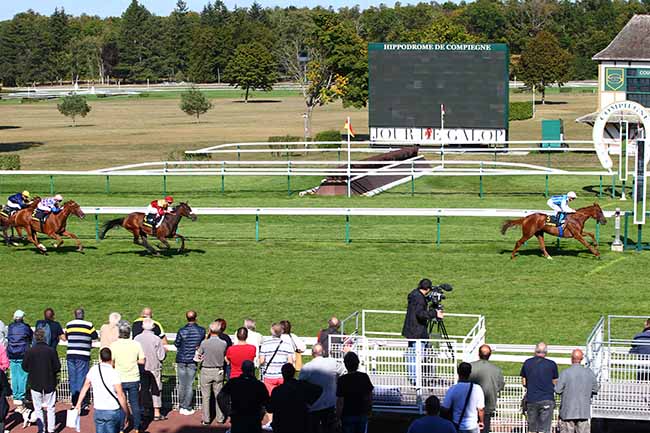 Photo d'arrivée de la course pmu PRIX DES HAMADRYADES à COMPIEGNE le Mardi 17 septembre 2019