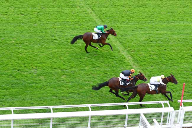 Photo d'arrivée de la course pmu PRIX FINOT (PELOTON A) à AUTEUIL le Mardi 17 septembre 2019