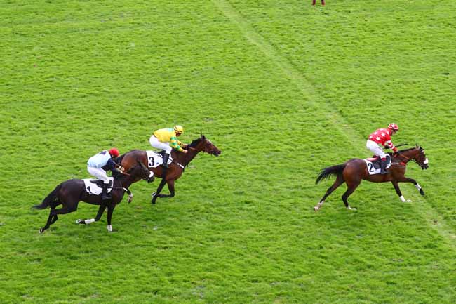 Photo d'arrivée de la course pmu PRIX HARAS D'ETREHAM - PRIX DE CHAMBLY à AUTEUIL le Mardi 17 septembre 2019
