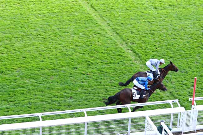 Photo d'arrivée de la course pmu PRIX D'ANGERS à AUTEUIL le Mardi 17 septembre 2019