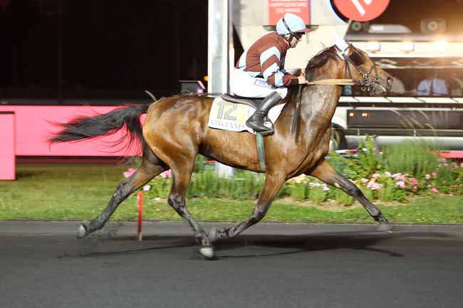 Photo d'arrivée de la course pmu PRIX HYDRUS à PARIS-VINCENNES le Mardi 17 septembre 2019