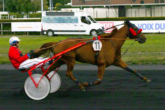 Photo d'arrivée de la course pmu PRIX GRAND LILLE TV à LE CROISE-LAROCHE le Mercredi 18 septembre 2019