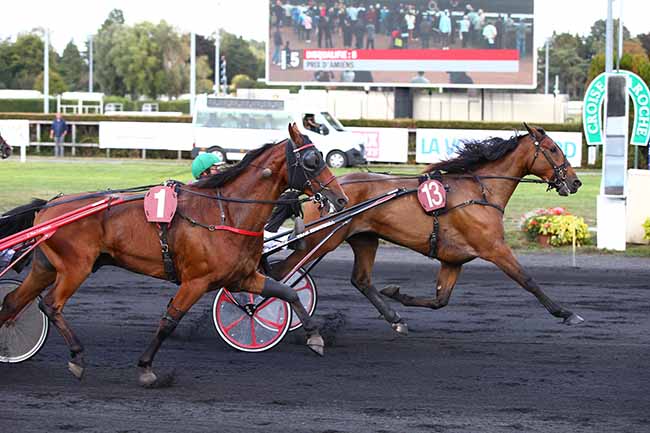 Photo d'arrivée de la course pmu PRIX D'AMIENS à LE CROISE-LAROCHE le Mercredi 18 septembre 2019