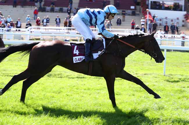 Photo d'arrivée de la course pmu PRIX ANGLET à CLAIREFONTAINE le Mercredi 18 septembre 2019