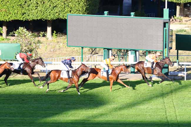 Photo d'arrivée de la course pmu PRIX PHAREL à SAINT-CLOUD le Mercredi 18 septembre 2019