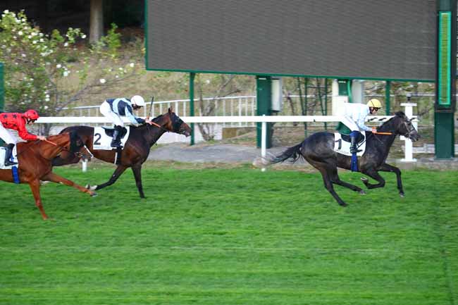 Photo d'arrivée de la course pmu PRIX BORAX à SAINT-CLOUD le Mercredi 18 septembre 2019