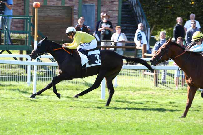 Photo d'arrivée de la course pmu PRIX DES ALISIERS à FONTAINEBLEAU le Jeudi 19 septembre 2019