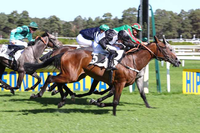 Photo d'arrivée de la course pmu PRIX BARON DE LA ROCHETTE à FONTAINEBLEAU le Jeudi 19 septembre 2019