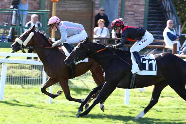 Photo d'arrivée de la course pmu PRIX DES PEUPLIERS à FONTAINEBLEAU le Jeudi 19 septembre 2019
