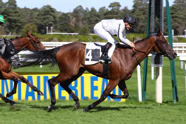 Photo d'arrivée de la course pmu PRIX DE LA CHAPELLE-LA-REINE à FONTAINEBLEAU le Jeudi 19 septembre 2019