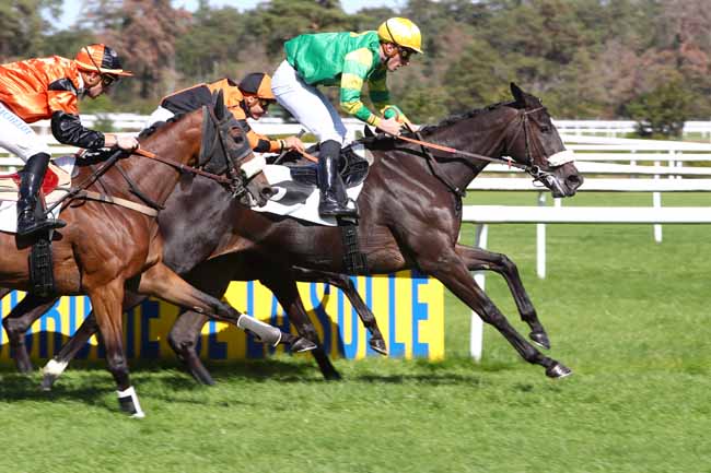 Photo d'arrivée de la course pmu PRIX JEAN GILLOIS à FONTAINEBLEAU le Jeudi 19 septembre 2019