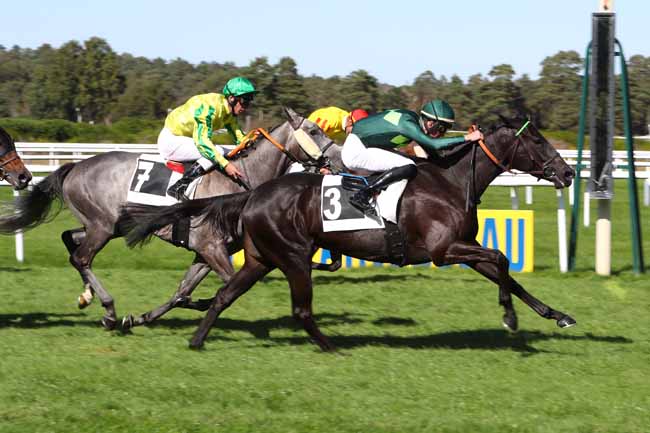 Photo d'arrivée de la course pmu PRIX DES CEDRES à FONTAINEBLEAU le Jeudi 19 septembre 2019