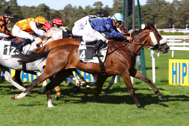 Photo d'arrivée de la course pmu PRIX DE SAMOIS-SUR-SEINE à FONTAINEBLEAU le Jeudi 19 septembre 2019