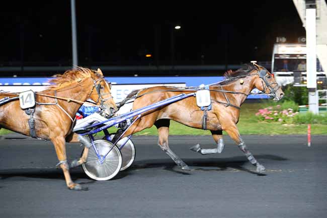 Photo d'arrivée de la course pmu PRIX ESCP EUROPE à PARIS-VINCENNES le Vendredi 20 septembre 2019