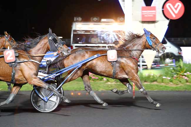 Photo d'arrivée de la course pmu PRIX IGS à PARIS-VINCENNES le Vendredi 20 septembre 2019