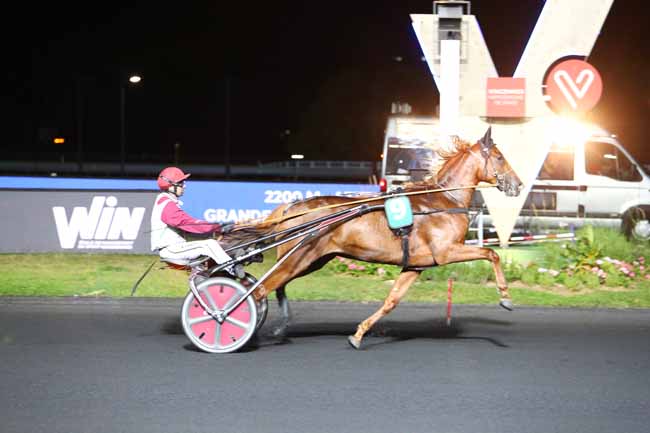 Photo d'arrivée de la course pmu PRIX WIN SPORT SCHOOL à PARIS-VINCENNES le Vendredi 20 septembre 2019