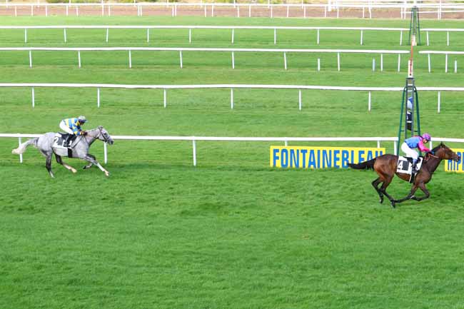 Photo d'arrivée de la course pmu PRIX DE LA CROIX DE VITRY à FONTAINEBLEAU le Mardi 24 septembre 2019