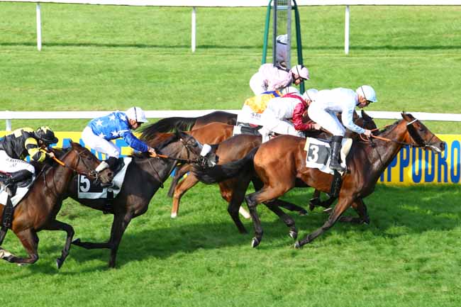 Photo d'arrivée de la course pmu PRIX ARTUS DE MAILLE à FONTAINEBLEAU le Mardi 24 septembre 2019