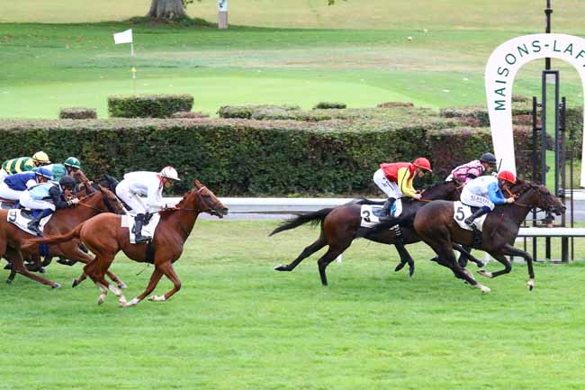 Photo d'arrivée de la course pmu PRIX DE VELIZY à MAISONS-LAFFITTE le Mercredi 25 septembre 2019