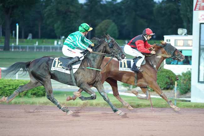 Photo d'arrivée de la course pmu PRIX DE VENISSIEUX à ENGHIEN le Jeudi 26 septembre 2019