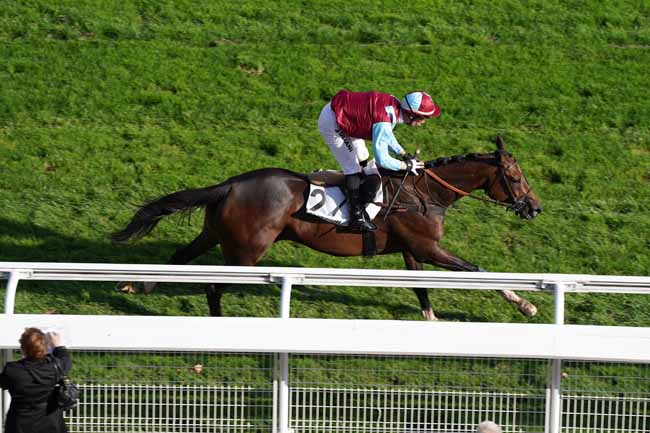 Photo d'arrivée de la course pmu PRIX DE MAISONS-LAFFITTE à AUTEUIL le Samedi 28 septembre 2019