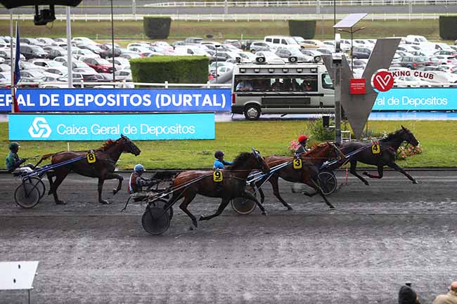 Photo d'arrivée de la course pmu PRIX DE DURTAL à PARIS-VINCENNES le Dimanche 29 septembre 2019