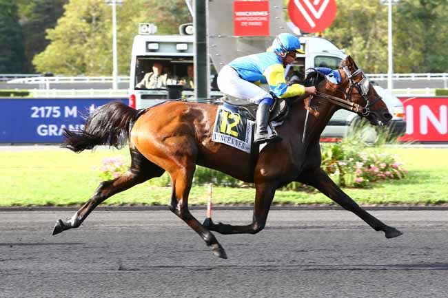 Photo d'arrivée de la course pmu PRIX JEAN MARY à PARIS-VINCENNES le Mardi 1 octobre 2019