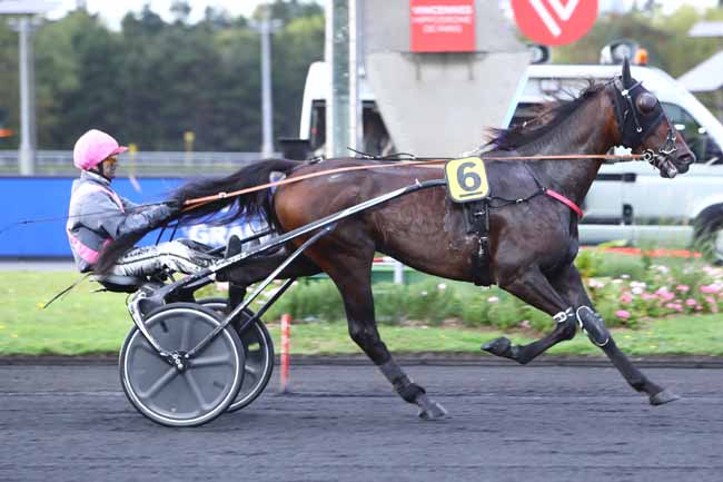 Photo d'arrivée de la course pmu PRIX EUCHARIS à PARIS-VINCENNES le Mardi 1 octobre 2019