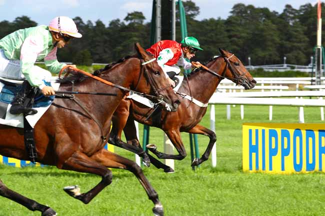 Photo d'arrivée de la course pmu PRIX GLORIEUSE à FONTAINEBLEAU le Mercredi 2 octobre 2019