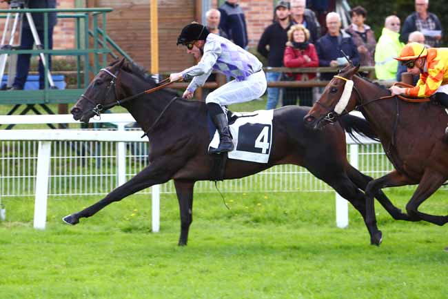 Photo d'arrivée de la course pmu PRIX DES NOYERS à FONTAINEBLEAU le Mercredi 2 octobre 2019