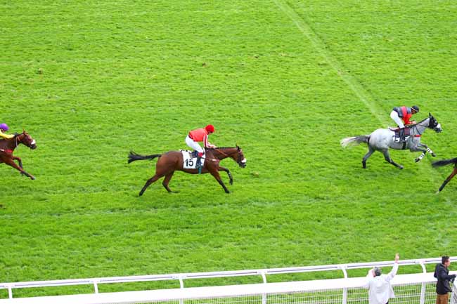 Photo d'arrivée de la course pmu PRIX GUILLAUME DE PRACOMTAL à AUTEUIL le Jeudi 3 octobre 2019