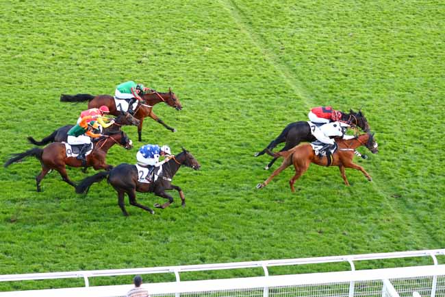 Photo d'arrivée de la course pmu PRIX MIRRIKH à AUTEUIL le Jeudi 3 octobre 2019