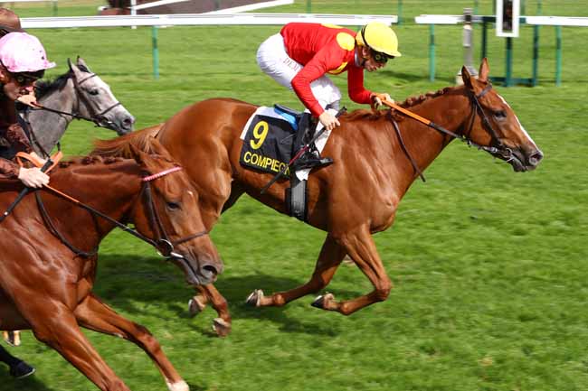 Photo d'arrivée de la course pmu PRIX DE LA VALLEE DE L'AUTOMNE à COMPIEGNE le Jeudi 3 octobre 2019