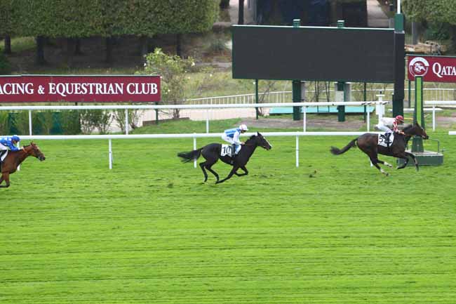 Photo d'arrivée de la course pmu PRIX SCARAMOUCHE à SAINT-CLOUD le Vendredi 4 octobre 2019