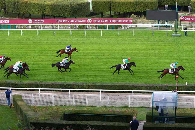 Photo d'arrivée de la course pmu PRIX DE BERNOUVILLE à SAINT-CLOUD le Vendredi 4 octobre 2019