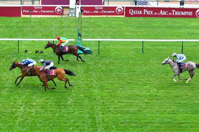 Photo d'arrivée de la course pmu QATAR ARABIAN TROPHY DES JUMENTS à LONGCHAMP le Samedi 5 octobre 2019