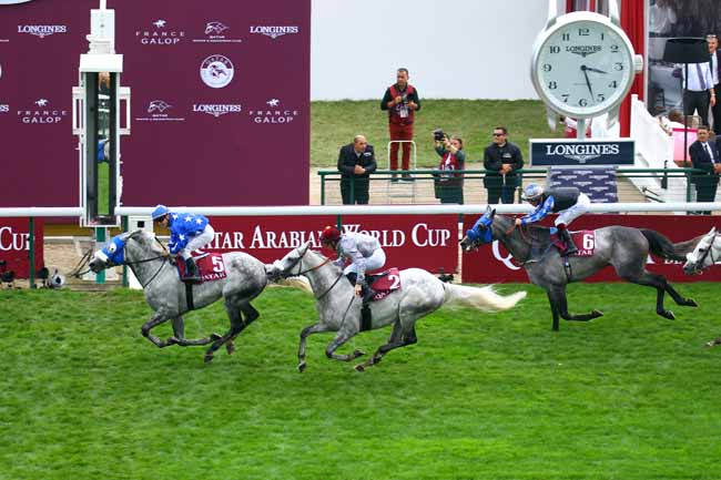 Photo d'arrivée de la course pmu QATAR ARABIAN WORLD CUP à LONGCHAMP le Dimanche 6 octobre 2019