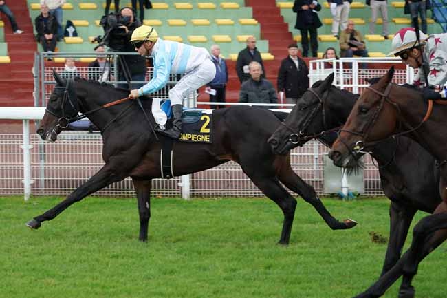 Photo d'arrivée de la course pmu PRIX KARAKONTIE à COMPIEGNE le Lundi 7 octobre 2019