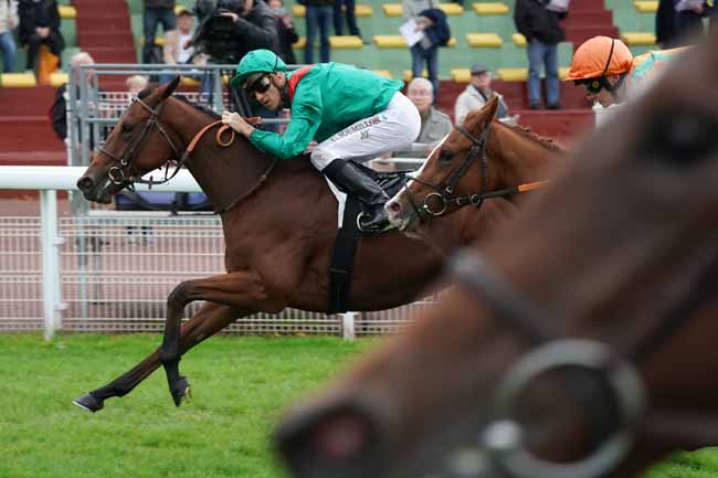 Photo d'arrivée de la course pmu PRIX ETOILE DE LA REINE à COMPIEGNE le Lundi 7 octobre 2019