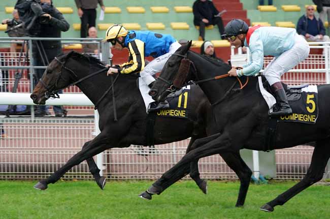 Photo d'arrivée de la course pmu PRIX DE LA FORET DE RETZ à COMPIEGNE le Lundi 7 octobre 2019