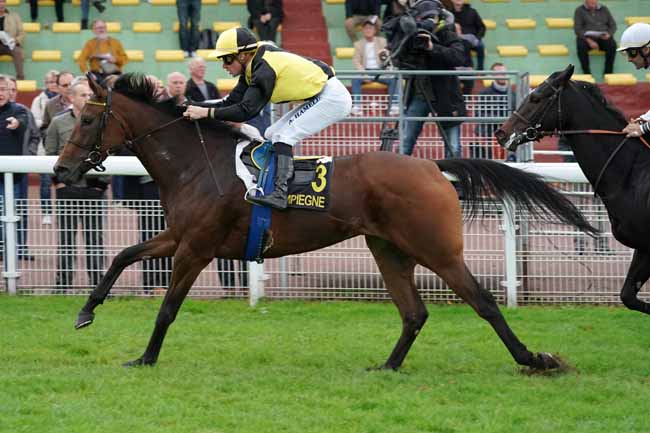 Photo d'arrivée de la course pmu PRIX DES BELLES DEMOISELLES à COMPIEGNE le Lundi 7 octobre 2019