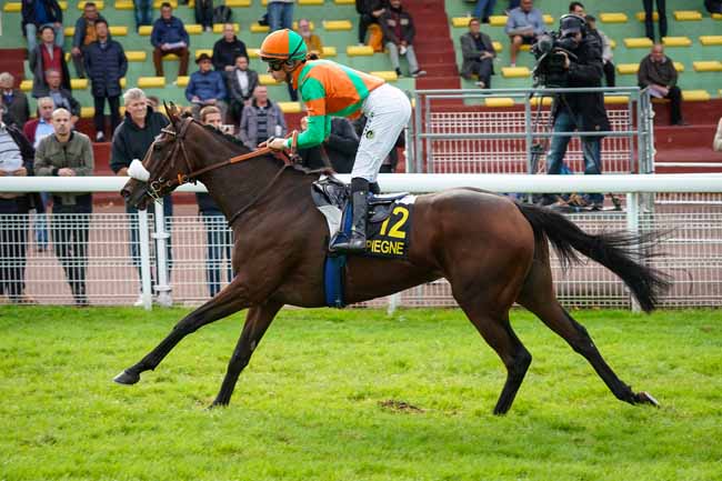 Photo d'arrivée de la course pmu PRIX DE MORIENVAL à COMPIEGNE le Lundi 7 octobre 2019