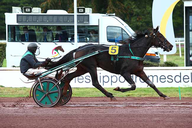 Photo d'arrivée de la course pmu PRIX DE VENDEE à LYON-PARILLY le Mercredi 9 octobre 2019