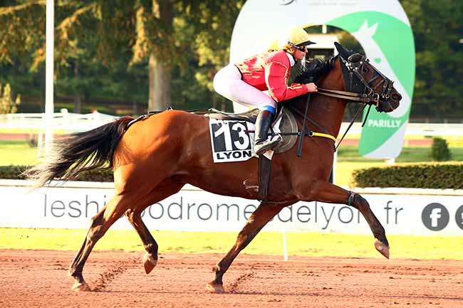 Photo d'arrivée de la course pmu PRIX DU MACONNAIS à LYON-PARILLY le Mercredi 9 octobre 2019