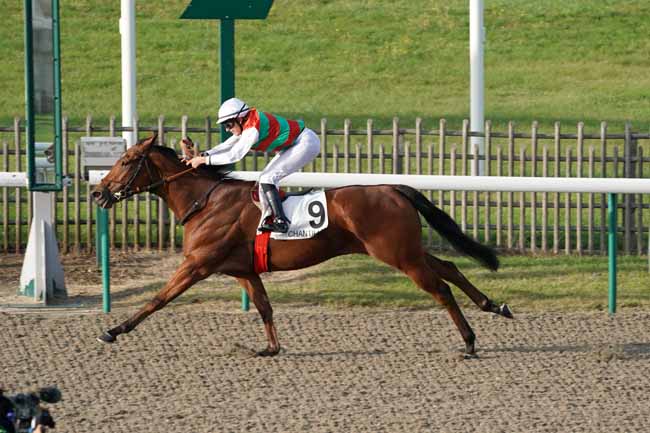 Photo d'arrivée de la course pmu PRIX DE SAINT-WITZ à CHANTILLY le Vendredi 11 octobre 2019