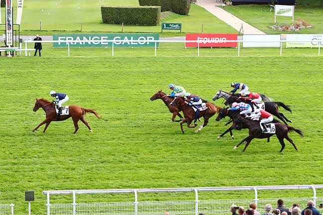 Photo d'arrivée de la course pmu PRIX DU REY à MAISONS-LAFFITTE le Samedi 12 octobre 2019