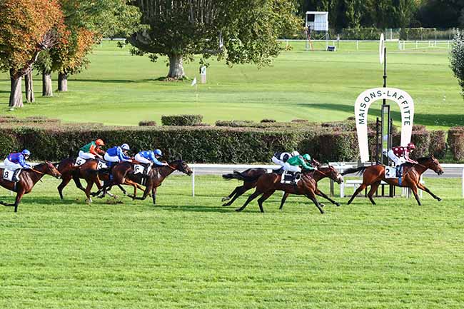 Photo d'arrivée de la course pmu PRIX SANCTUS à MAISONS-LAFFITTE le Samedi 12 octobre 2019